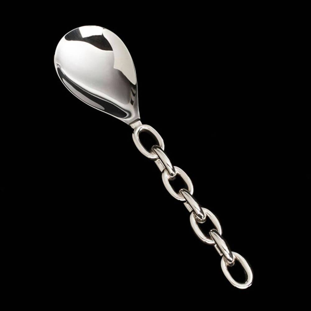 NEW INSPIRED GENERATIONS linky serving spoon in silver